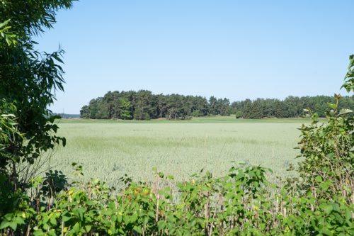 20240624-fotograf-ellinorniland-webb-14