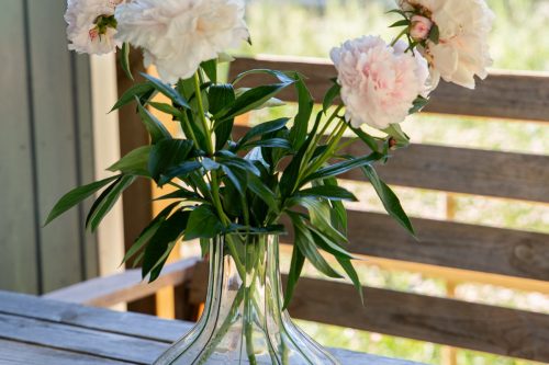 20240624-fotograf-ellinorniland-webb-15